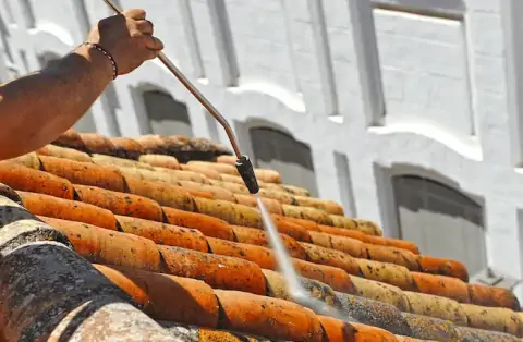 Nettoyage de toitures - Villeneuve-la-Rivière